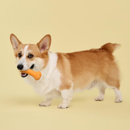 Playology Dual Layer Bone Dog Chew Toy - Medium, Cheddar Cheese Scent | Rubber Construction, All Natural Scent, Heavy Duty Design - size: Medium, style: Cheddar Cheese