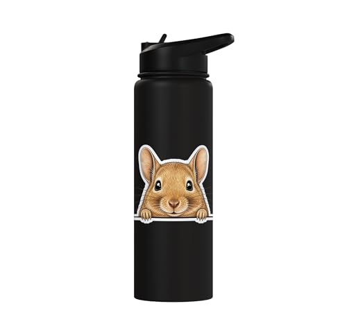 Peeking Degu Stainless Steel Insulated Water Bottle - color: Black