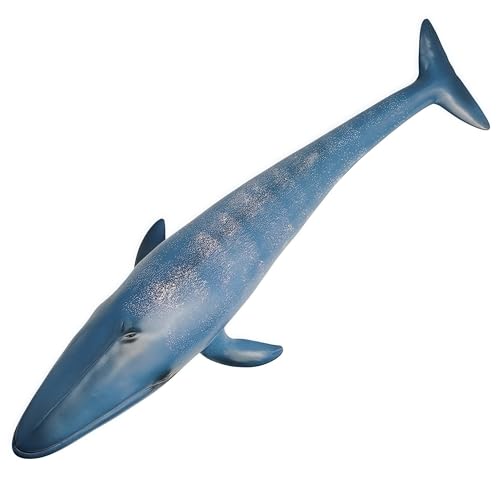 Gemini&Genius Blue Whale Sea Animal Action Figure, Ocean Shark Whale Toy | Educational, Role Play, Swim, Beach, Bath and Collectors for Kids - color: Blue Whale