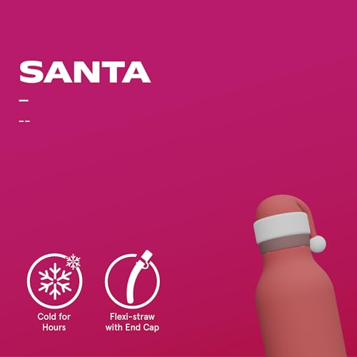 asobu Bestie Water Bottle, Cute Collectible Character, Leak Proof, BPA Free | 16 oz, Stays Cold 24 Hours, Double Wall Vacuum Insulation, Food Grade Stainless Steel, Spill Resistant, Great Gift Idea - color: SANTA
