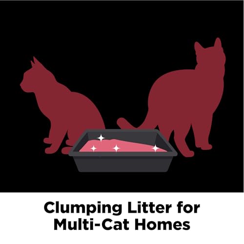 ARM & HAMMER Clump & Seal Platinum Clumping Cat Litter, Online Only, 37 Lbs | Clumping Litter, Rock-Hard Clumps, Baking Soda Odor Eliminators, 14-Day Odor Control - style: Clump & Seal Platinum Clumping Cat Litter