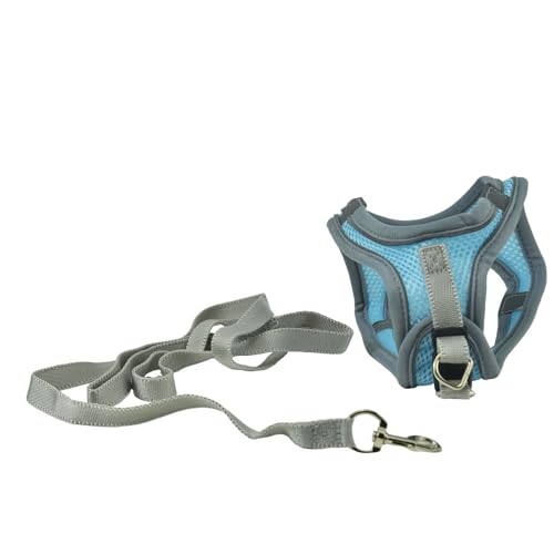 Cat Dog Vest Harnesses Leash Light Escape Proof Kitten Walking Jacket | Soft Small Medium Dog Breathable Mesh Step-in Vest,Easy Adjustable Fit, Reflective Strips,for Puppies Rabbits-M - size: M