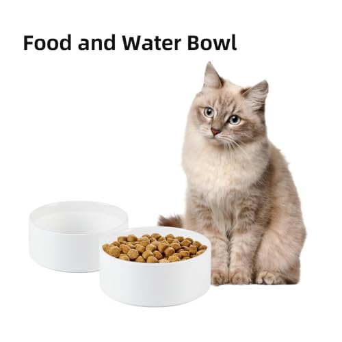 Havniva Ceramic Dog Bowls, 5.1” Dog Food and Water Bowl Set of 2 | Dog Food Bowl for Small Dogs, Food-Grade Ceramic, Dog Water Bowl with Non-Slip Rubber Base, Large Capacity, Dishwasher Safe - color: Matte White, size: 5.1" - Bowl