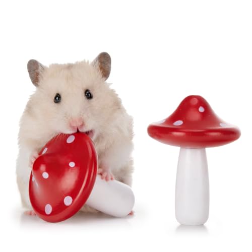 Niteangel Hamster Chew & Decor Toys: Pack of 2 Mushroom-Shape & Beech Wood | Chew-Friendly Design to Control Tooth Overgrowth for Syrian Dwarf Hamster Gerbils Mice Lemming Degu or Other Small-Sized Pets - size: Mushroom-Shape