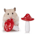 Niteangel Hamster Chew & Decor Toys: Pack of 2 Mushroom-Shape & Beech Wood | Chew-Friendly Design to Control Tooth Overgrowth for Syrian Dwarf Hamster Gerbils Mice Lemming Degu or Other Small-Sized Pets - size: Mushroom-Shape