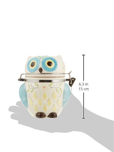 Boston Warehouse Hinged Jar with Floral Owl Design - color: Floral Owl
