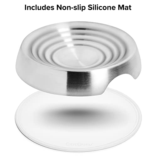 CatGuru Cat Bowls, Whisker Friendly Food Bowl for Indoor Cats, Reliefs Whisker Fatigue, Wide Kitten Dish, Non Slip Pet Dishes, Shallow Pet Plates (Stainless Steel, (Pack of 2)) - color: Stainless Steel, size: Dish - Set of Two