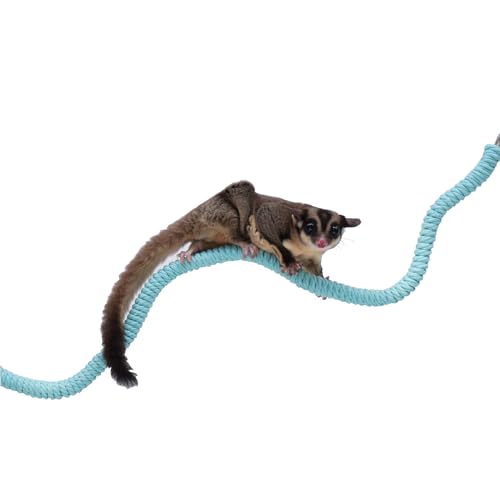 Sugar Glider Cage Accessories, Ideal Climbing Toys Supplies for Tank Habitat