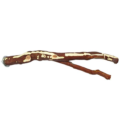 Exotic Nutrition Manzanita Branch 17" x 1/2" (Medium) - Durable Natural Cage Accessory - for Sugar Gliders, Marmosets, Squirrels, Birds, Parrots, Degus, Chinchillas & Other Small Animals