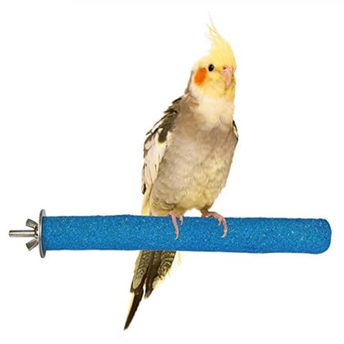 PINVNBY Bird Feeding Dish Cups,5.5x2.0 Inches Parrot Stainless Steel Food Water Dish Perch Stand Platform Paw Grinding Toy Feeder Cage Bowl with Clamp Holder for Budgies Parakeet Macaw(5 Pack L) - size: 【L:5.5x2.0 Inches】