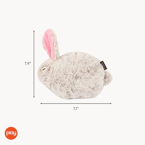 P.L.A.Y. Cute Plush Dog Toys - Forest Friends Critter Themed Durable Squeaker Crinkle Chew Toy, Great for Puppies & Small, Medium, Large Dogs - Machine Washable, Recycled Materials (Bunny) - style: Baxter the Bunny