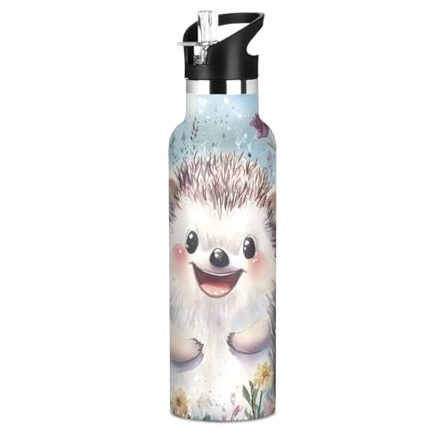 Cute Hedgehog Insulated Water Bottle with Straw Lid,Vacuum Stainless Steel Mug Leakproof Tumbler Flask Kids Water Bottle for Sports Travel School,20oz - color: Cute Hedgehog