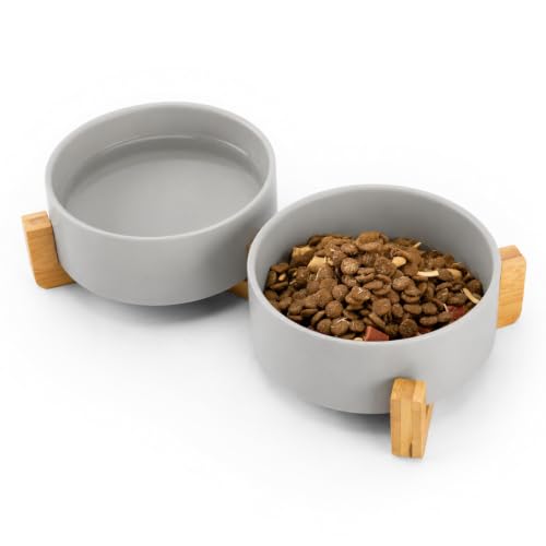 MateeyLife Ceramic Dog and Cat Bowls with Stand, 2-Pack Food and Water Bowl Set - Non-Slip Pet Bowls for Small & Medium Size Dogs，28.7OZ(Grey) - color: Grey, size: M-3Cup