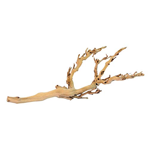 Exo Terra Forest Branch, Medium - size: Medium