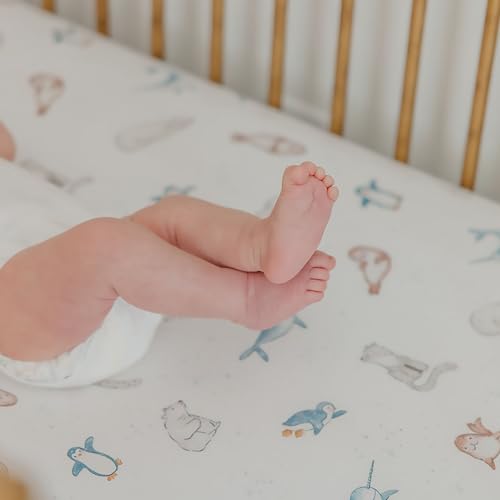 Arctic Wonder Premium Crib Sheet - color: Arctic Wonder