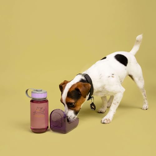 OllyDog OllyBottle | Tritan Dog Water Bottle with Detachable Bowl | BPA Free Leakproof Pet Dispenser | Hiking Travel (600ml, Plum) - color: Plum, size: 600ML