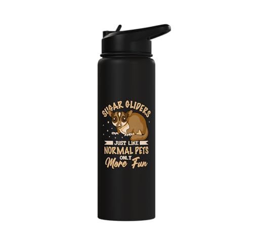 Australia Marsupial Wildlife Animal Lover Sugar Glider Stainless Steel Insulated Water Bottle - color: Black