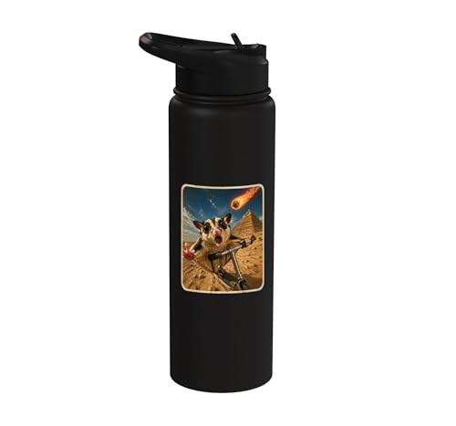 Funny Sugar Glider Riding Scooter Stainless Steel Insulated Water Bottle - color: Black