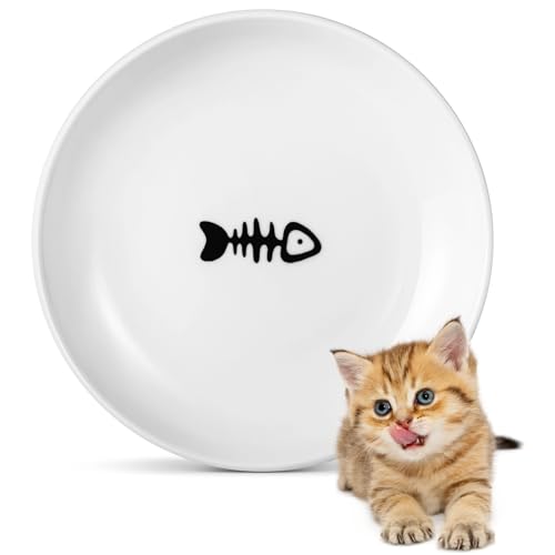 Ceramic Cat Food Plates: Cat Wet Food Bowls/Whisker Fatigue Cat Dishes & Shallow Bowls for Kittens and Small Animals | For wet/dry food; fits kittens, rabbits, hamsters; microwave & dishwasher safe; stable fishbone design - color: Fish bone