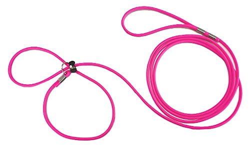 12-Foot Mini Pig Harness - Adjustable Harness & Leash for All Animals - Pigs, Ferrets, Rabbits, Guinea Pigs, Dogs, Cats, Reptile, and Chickens - color: Pink
