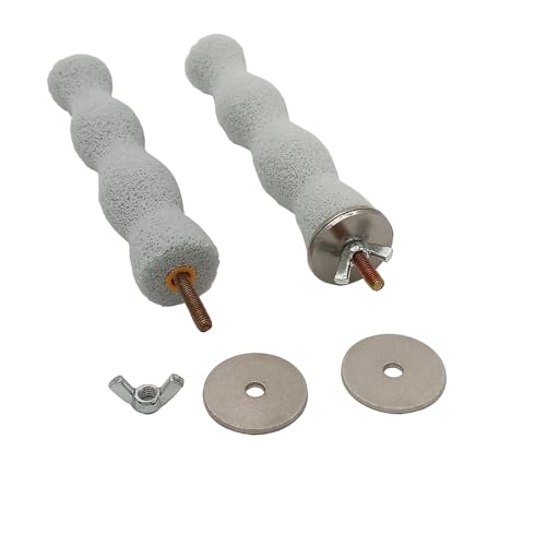 Shelltech Pumice Perch Lava Ledge for Birds, Climbing Ledge Teeth Grinding Beak Grinding Block Perch Stand for Hamsters Chinchillas Parrots (Natural Color, Medium- 2 Pack)