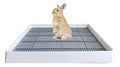 PODOO Rabbit Litter Box – Training Potty Tray for Guinea Pig & Small Pets · Spacious Grid Pan with Low Entrance, Easy-Clean & Odor-Resistant—Helps Keep a Clean Cage and Reduce Mess - size: Large