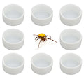 8 Pcs Spider Micro Ceramic Water Bowl Tarantula Mini Dish for Tarantula Spider Scorpion Cricket Snail Manti Millipede Tiny Bugs (White)