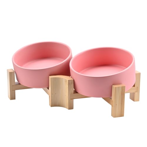 SPUNKYJUNKY 15° Slanted Ceramic Dog and Cat Bowl with Wooden Stand, Tilted Bulldog Food and Water Bowl No Slip Non-Spill for Cats Medium Dogs Big Face Pets 13.5 OZ (1.7 Cups, Pink × 2) - color: Pink, size: 1.7 CUPS × 2