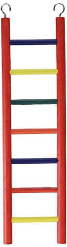 Prevue Pet Products 7-Rung Wood Bird Ladder - Enclosure Accessories for Small Birds, Hanging Cage Toy for Climbing, Healthy Foot Exercise, Beak Play, and Bird Engagement - Multi-Colored - size: 7-Rungs