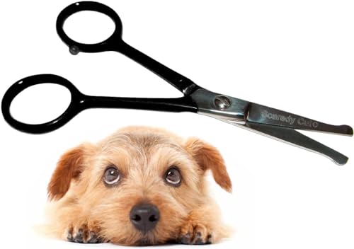 Tiny Trim 4.5" Ball-Tipped Scissor for Dog, Cat and all Pet Grooming - Ear, Nose, Face & Paw - Scaredy Cut's small Safety Scissor - color: Black