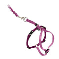 PetSafe Come with Me Kitty Harness and Bungee Cat Leash, Dusty Rose, Large | Adjustable 2-Point Fit Applies Gentle Pressure to Shoulders, Not Neck, for Average and Large Cats with 13 in - 18 in Girth - color: Dusty Rose, size: Large (Pack of 1)