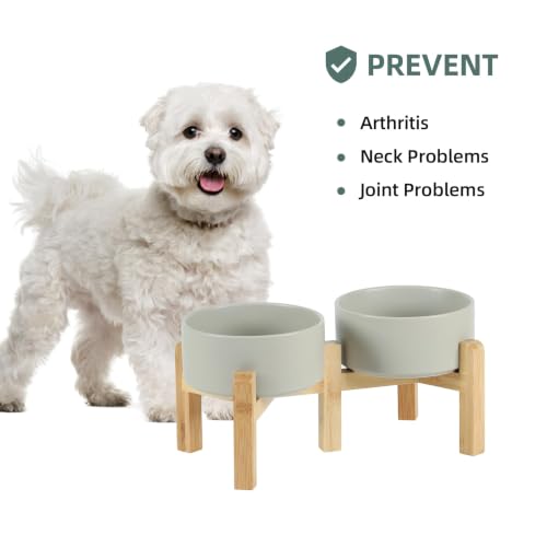 Havniva Dog Bowls Elevated, Ceramic Dog Food and Water Bowl Set | 6.1” Raised Dog Food Bowl, Elevated Dog Bowls with Bamboo Stand, Non-Slip Dog Water Bowl for Small Dog, Large Capacity - color: Matte Gray, size: 6.1" - 2 Bowls+Stand