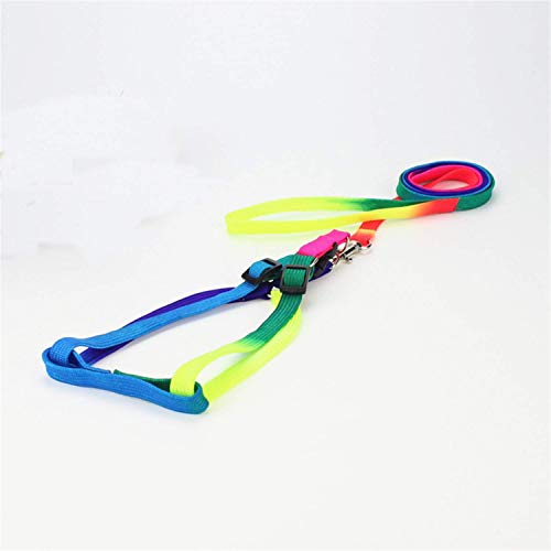 Pig Adjustable Harness Leash for Hog, Ferret, Rabbit, Dog and Similar Small Animals