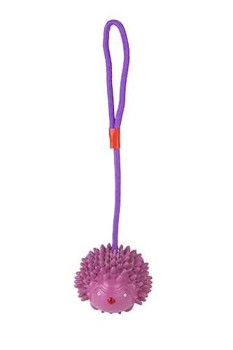 Fuzzl Eco Rubber Chuck & Treat Hedgehog - Purple - Long Lasting Dog Chew Toys for Aggressive Chewers Strong Dog Toy for Dogs Durable Puppy Toys - style: Hedgehog Purple