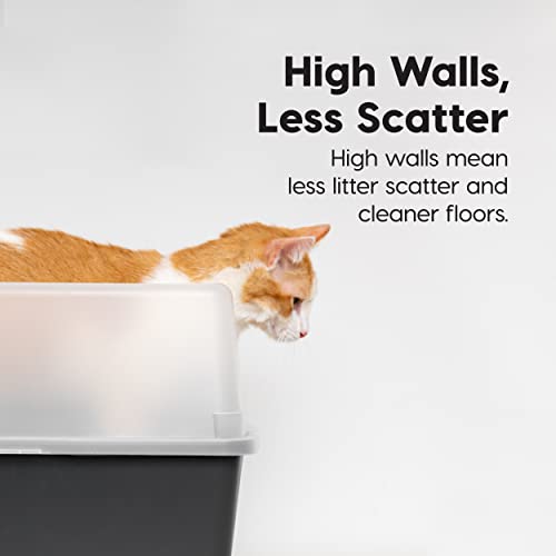 IRIS USA Large High Sided Cat Litter Box, Scatter Shield, Black | Active Cats, Tall Wall Protection, Kick-Proof Sides, Extra Deep Pan, Easy Daily Scoop, Keeps Floor Clean - color: Black, size: Open Top - 2 Pack