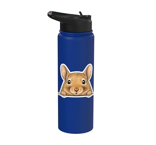 Peeking Degu Stainless Steel Insulated Water Bottle - color: Royal Blue
