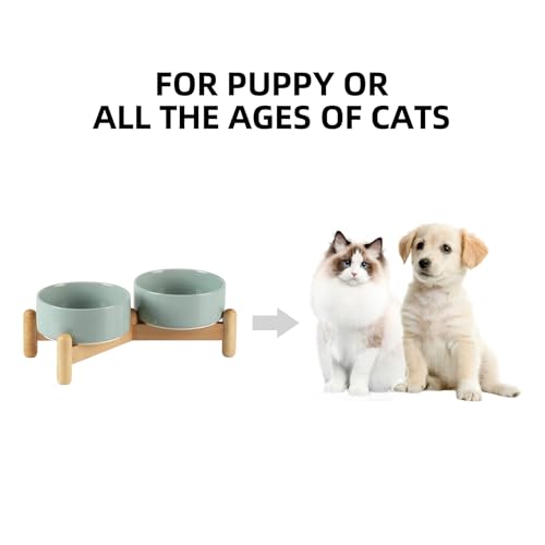Havniva Elevated Dog Bowls Ceramic Dog Bowls with Stand, Dog Food Bowl | 5.1” Raised Dog Bowls with Non-Slip Wood Stand, Dog Food and Water Bowl Set, Double Dog Feeding Bowls for Small Dogs - color: 2 Bowls+Stand - Light Green, size: 5.1inch