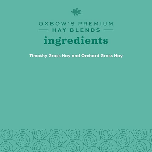 Oxbow Western Timothy & Orchard Grass Hay Blends for Small Pets, High-Fiber, Hand-Sorted Rabbit & Guinea Pig Hay, All Natural Grass Blend for Chinchillas, Bunnies & Guinea Pigs, Made in USA, 15 oz | Oxbow Timothy Hay, Bunny Hay For Rabbits, Guinea Pigs, B