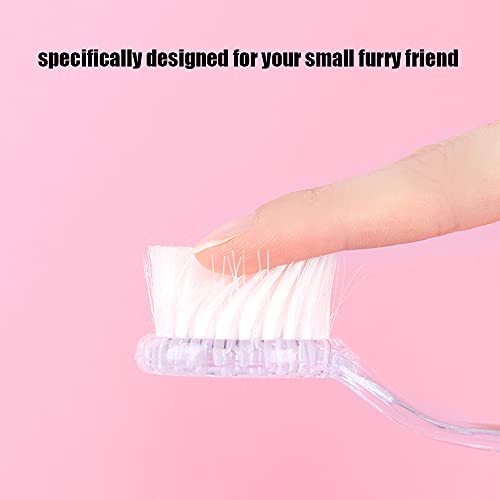 2 Pack Hamster Brush, Hedgehog Cleaning Supplies, Guinea Pig Combs - color: Transparent