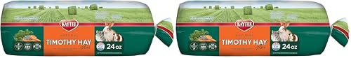 Kaytee Timothy Hay Plus Carrots for Pet Guinea Pigs, Rabbits & Other Small Animals, 24 oz (Pack of 2) - size: 1.5 Pound (Pack of 2)