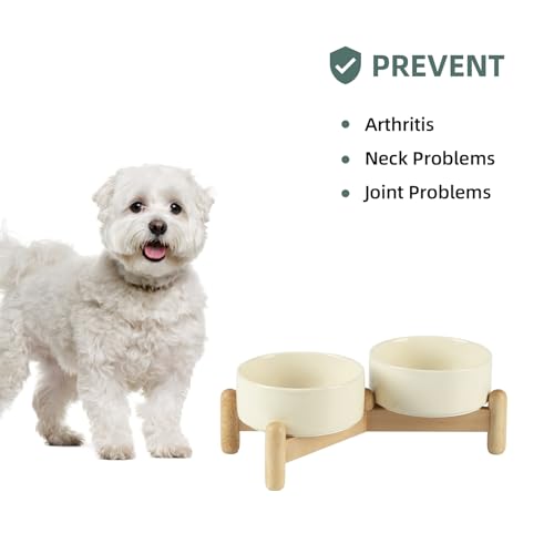 Havniva Elevated Dog Bowls Ceramic Dog Bowls with Stand, Dog Food Bowl | 5.1” Raised Dog Bowls with Non-Slip Wood Stand, Dog Food and Water Bowl Set, Double Dog Feeding Bowls for Small Dogs - color: 2 Bowls+Stand - Light Yellow, size: 5.1inch