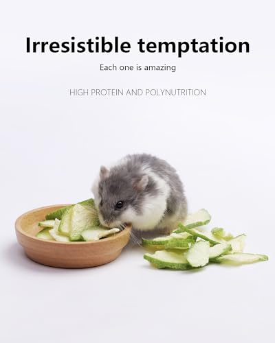 Niteangel Hamster Snack & Treats Toy: Freeze-Dried Zucchini & No Additive | Delivers Essential Vitamins & Minerals- Small Animal Natural Treat for Dwarf Syrian Hamsters Gerbils Mice Degus or Small Pets