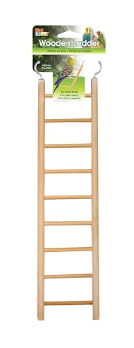 Penn-Plax 9-Step Wooden Bird Ladder | Easy to Install | Fun Exercise for Your Bird (BA115)