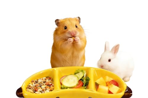 Hamster Food Bowl Ceramic, Cute Apple Pear Banana Shape Small Pet Feeding Dish, Easy to Clean Anti Flipping Guinea Pig Hamsters Food and Water Bowl, Small Animal Bowls for Dwarf, Parrots (Banana) - color: Banana