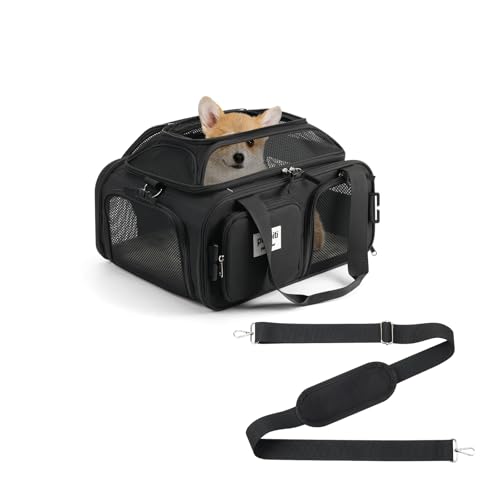 pidipiti 17x13x8 Soft-Sided pet Carrier,for 1 Extra-Small Dog/Small cat | top expandable,breeze airlines approved - size: 17"L x 13"W x 8"H