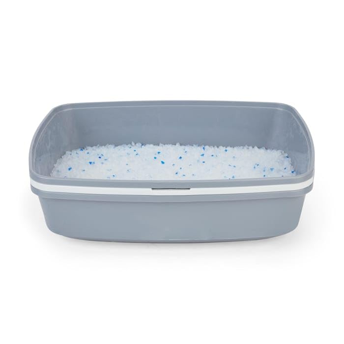 So Phresh by Petco Grey & White Lift-to-Sift Cat Litter Pan Large 19.7" L