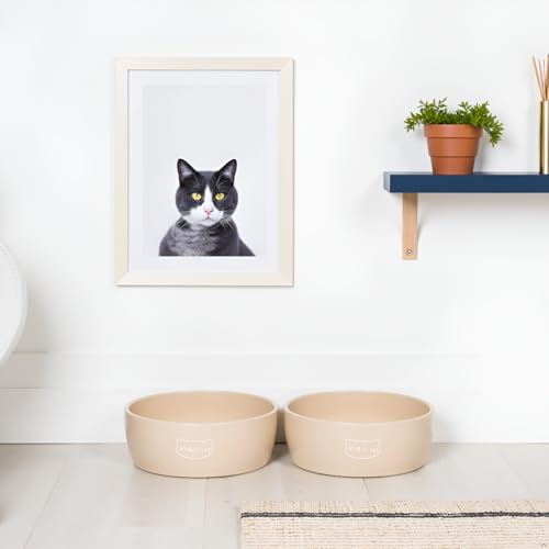 Pearhead Ceramic Cat Bowl – Neutral Taupe “Meow” Design, Holds 1.3 Cups, Stoneware Pet Dish, Whisker-Friendly Pet Feeding Bowl, Non-Skid, Small (Pack of 2) - color: Taupe "Meow", size: Single Bowl (Pack of 2)