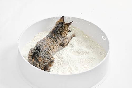 pidan Cassava Cat Litter clumping,Odor Control,Plant Based Natural Ingredients,Ultra Absorbent and Fast Drying,No Dust,Unscented (5.3lb×2bags) - size: 5.3lb×2bags