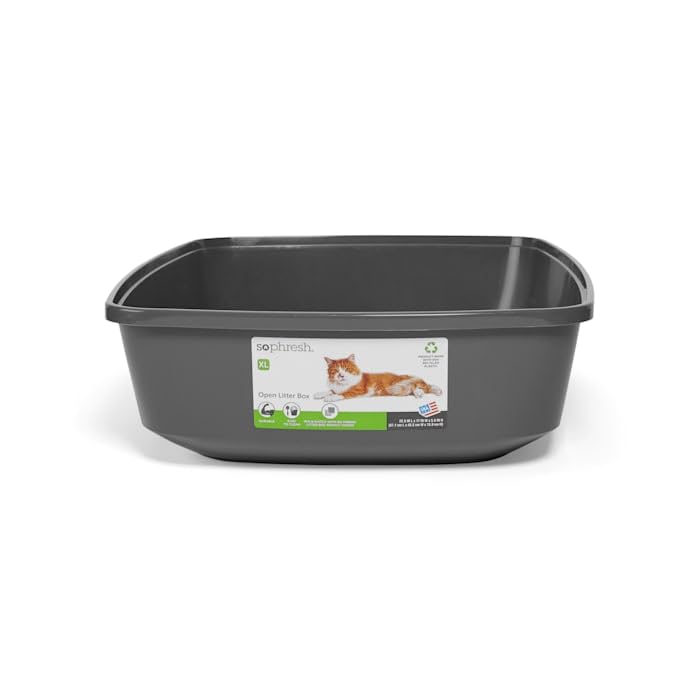 So Phresh by Petco Open Cat Litter Box Charcoal X-Large 22.4" L X 16.9" W X 5.4" H