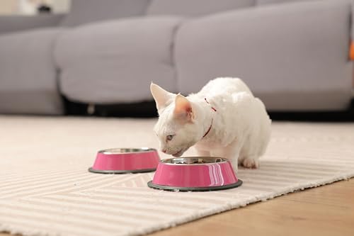 Stainless Steel Dog Bowls, Food and Water Non Slip Anti Skid Stackable Pet Puppy Dishes for Small, Medium and Large Dogs (2 Pack) - color: Pink, size: 1.5 Cup/12 oz